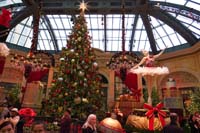 20-Bellagio_Conservatory_decorated_for_Christmas