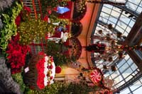 23-Bellagio_Conservatory_decorated_for_Christmas