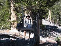22-Chris_with_tree_and_piled_rocks
