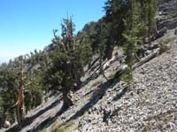 35-Joel_Andy_and_Nasrin_on_steep_trail_to_Mummy's_Tummy