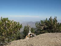 50-view_from_Mummy's_Tummy_with_Fortification_Hill_and_Lake_Mead_over_50_miles_away