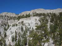 52-we_need_to_head_down_another_class_III_chute_then_traverse_along_the_tree_line_to_the_right_then_down