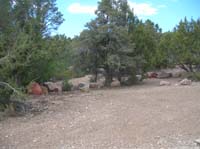 57-nice_wooded_campsites_along_the_road_to_consider