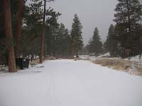10-snowy_view_further_up_Kyle_Canyon_from_Spring_Mountain_Visitor_Center