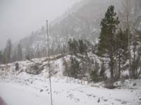 20-snow_covered_winter_2004-2005_avalanche_debris