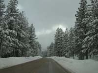 20-pretty_snowy_views_along_Lee_Canyon_Rd_to_ski_resort