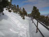 49-path_to_Desert_View_Overlook
