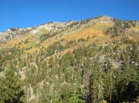 02-morning_sun_showing_lots_of_aspens_changing_color-Fall_is_here_but_still_warm-high_70's_at_7500_feet