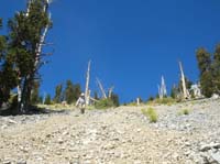53-Lori_taking_a_more_gingerly_pace-very_steep