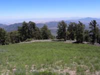 38-pretty_meadow_view_looking_down