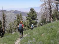 44-hiking_along_trail_with_grasses_and_wildflowers