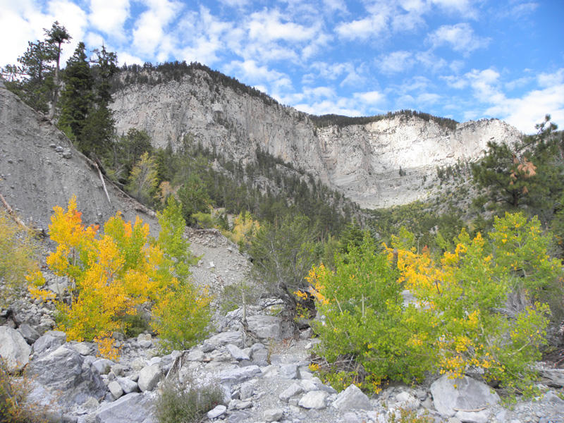 15-more_mountain_views_in_wash_with_fall_colors