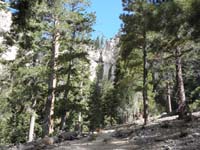 11-pretty_forest_view_looking_back_to_Mary_Jane_Falls