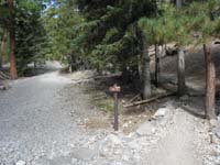 12-back_to_trail_junction-right_to_Mary_Jane_Falls-straight_is_route_I_took_down-left_leads_to_Big_Falls_wash