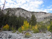 14-about_500_feet_from_junction_is_wash-turn_right_going_uphill-mountain_views_in_wash_with_fall_colors