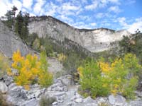 15-more_mountain_views_in_wash_with_fall_colors