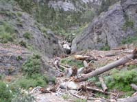 17-avalanche_debris-July_17_that_rock_in_middle_was_covered_by_snow-climbed_log_laying_to_left_of_rock