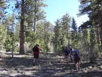 01-started_hike_from_Old_Mill_Campground-trail_for_.75_miles,then_off-trail-Jeff_Mark_Ed_Monica