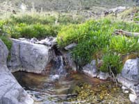 15-some_flowing_water_in_the_meadow