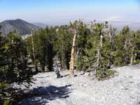 42-Brett_heading_down_into_bristlecone_forest-desert_view_in_distance