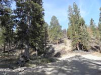 22-Harris_Peak_trailhead_parking_area-closed_by_forest_service-backburn_to_protect_homes_to_right