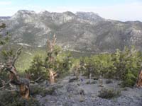 10-view_looking_back_from_ridgeline_hump-at_9000_feet,1200_feet_in_.67_miles_in_one_hour