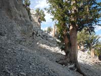 25-Ed_and_I_hiking_amongst_the_Bristlecone_Pine_trees-from_Luba