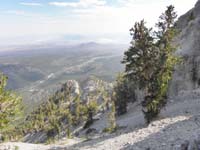 26-looking_back_to_scenic_view_and_Bristlecone_Pine_trees