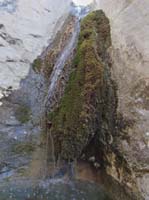 16-pretty_waterfall_and_mosses-used_HDR_option_for_photo