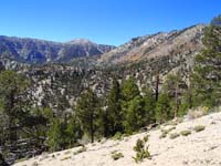 27-pretty_view_of_Mt_Charleston_with_Fall_colors