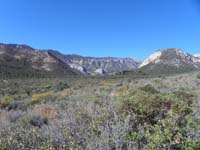 10-pretty_scenery_looking_up_Kyle_Canyon