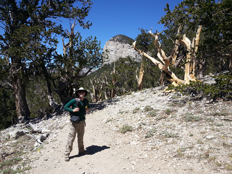 01-me_at_10000_feet_with_Mummy_Toe_in_distance_among_bristlecone_pines