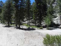 19-road_separating_dirt_road_to_Deer_Creek_Picnic_area-several_old_campsite,now_picnic_areas