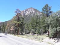 01-peak_from_Kyle_Canyon_Rd_by_Visitor_Center