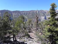 30-scenic_view_from_peak-Kyle_Canyon_area_and_ridge