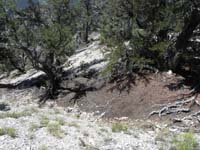 34-came_across_nature_drainage_near_where_I_came_up,decided_to_go_down_since_looked_better