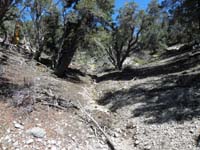 35-easier_following_natural_drainage_down-less_brush,but_still_some_loose_rocks,but_not_scree,400_ft_in_.2_miles
