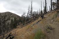 26-Griffith_Peak-although_look_to_right_to_see_scorched_trees