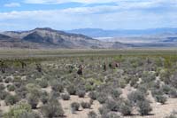 48-couple_mile_trek_through_the_desert_to_get_back_to_the_cars,temp_now_upper_80s-ugh