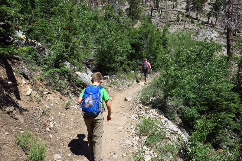 15-Kenny_and_Mommy_continuing_up_the_trail_through_new_aspen_growth_from_forest_fire