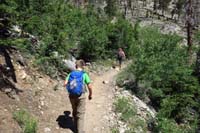 15-Kenny_and_Mommy_continuing_up_the_trail_through_new_aspen_growth_from_forest_fire