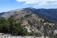 40-scenic_view_from_peak-looking_NW-Mt_Charleston-it_will_take_years_for_the_forest_to_return_to_normal