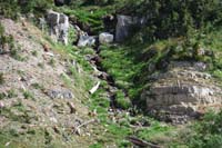 56-zoom_of_that_pretty_scenery_with_flowers_and_flowing_water_from_snow_melt