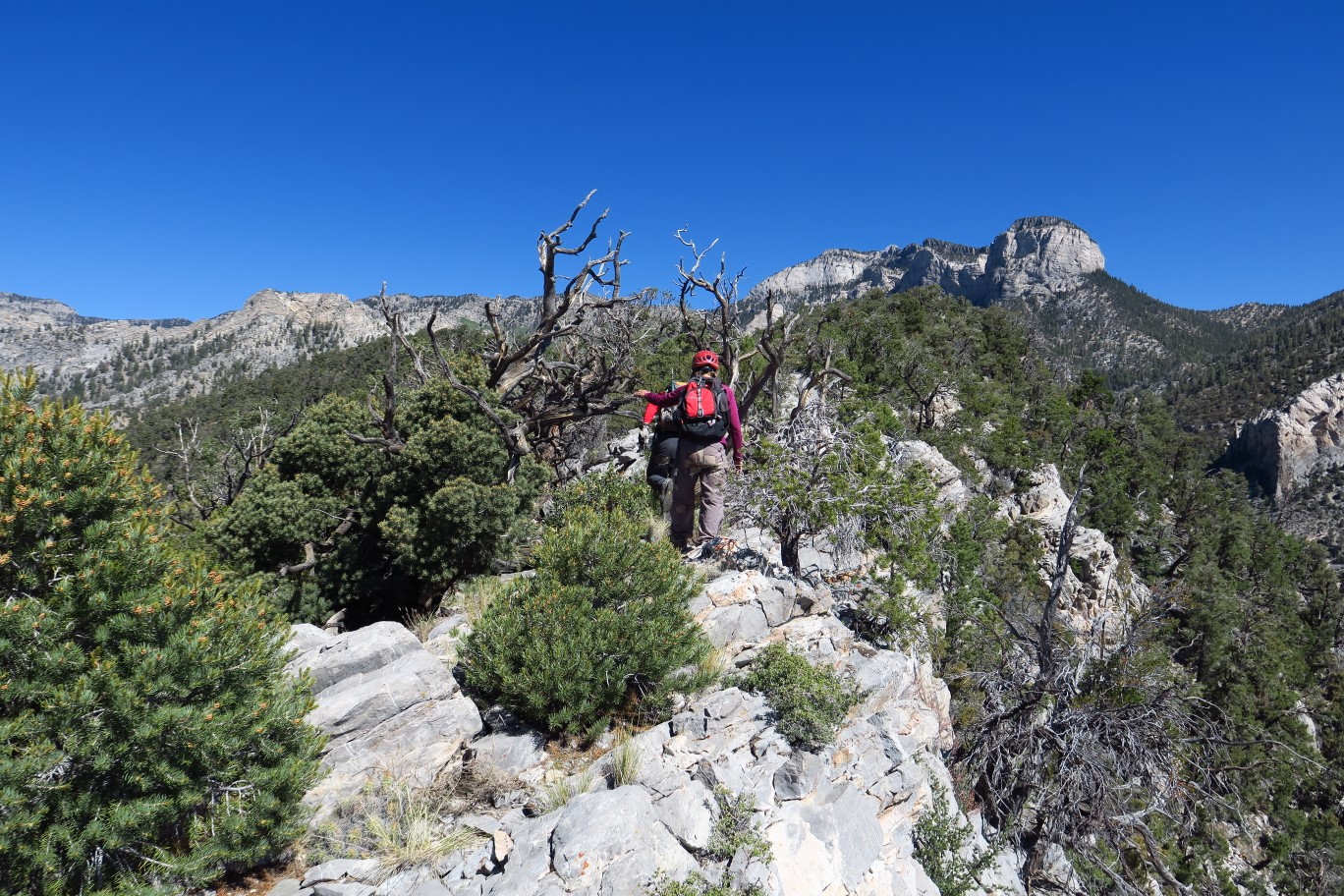 25-success,on_another_ridge