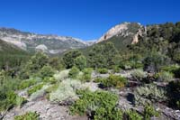 03-view_of_Fletcher_Junior_Peak_from_a_ridgeline