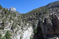 49-scenic_view_looking_up_Fletcher_Canyon_towards_Mummy_Toe