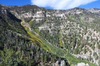 16-scenic_view_from_peak-looking_W-towards_ridge_from_Griffith_to_Charleston_Peaks,fall_colors