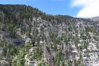 40-path_along_base_of_cliff_bands_we_traversed