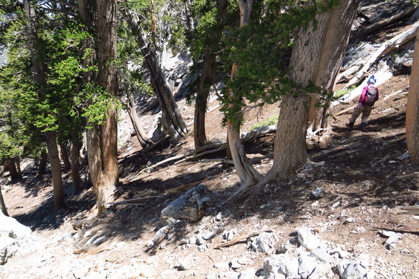 49-heading_down_steep_slope