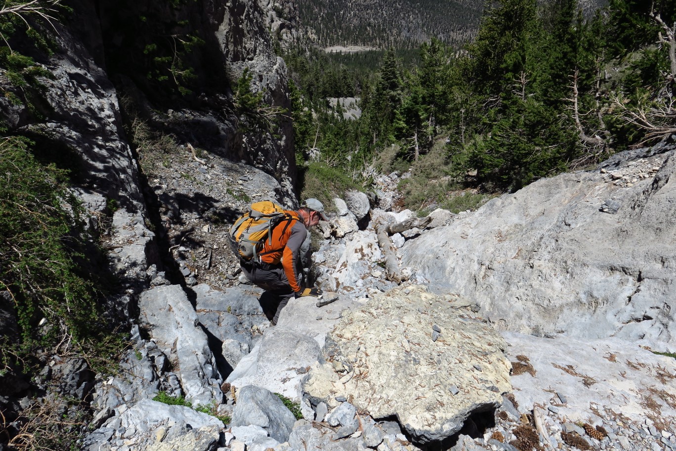 51-Ed_scrambling_down
